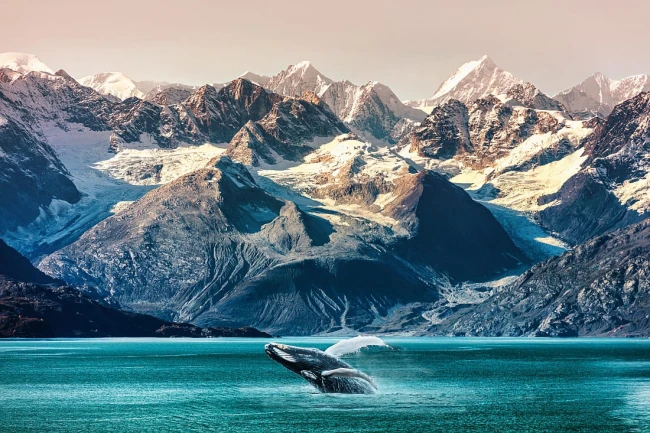 wytwory_islandia_wieloryby_wzor.jpg