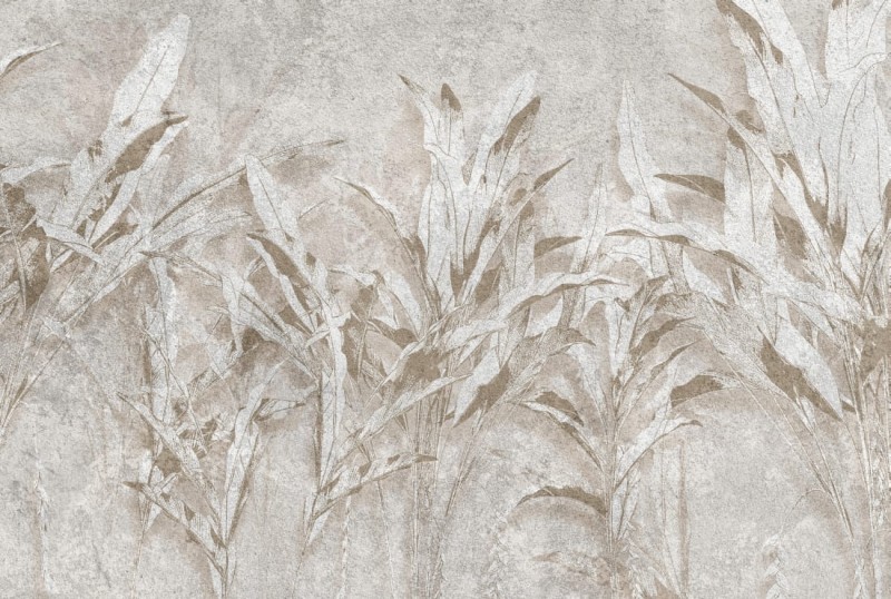 Fototapeta BEIGE wz1 - NA WYMIAR