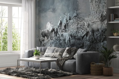 nowe_tatry_06_salon.jpg