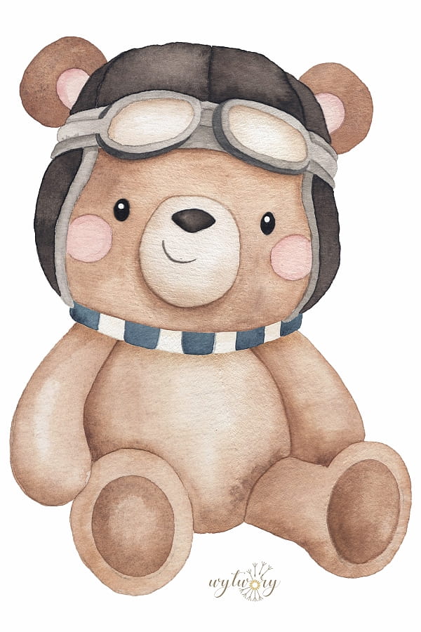 teddy_balony.jpg